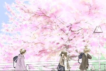 福建大菠萝官网